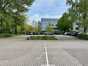 Flex Park